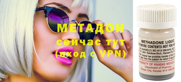 индика Горняк