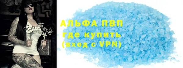 индика Горняк