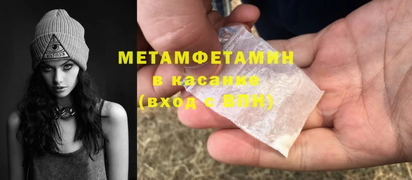 индика Горняк