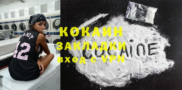 индика Горняк