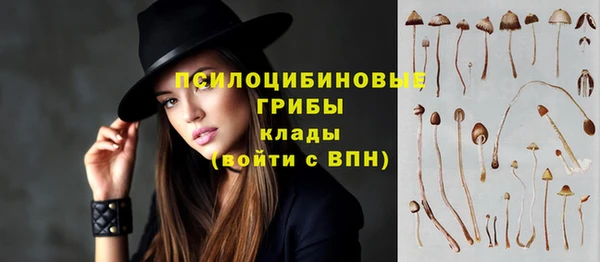 соль ск Гусиноозёрск