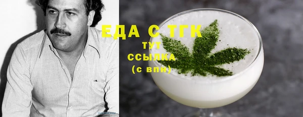 индика Горняк