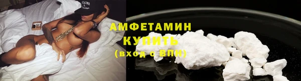 индика Горняк