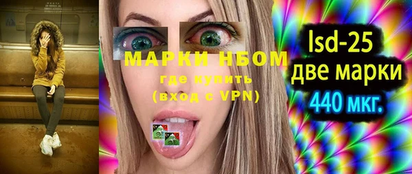 индика Горняк
