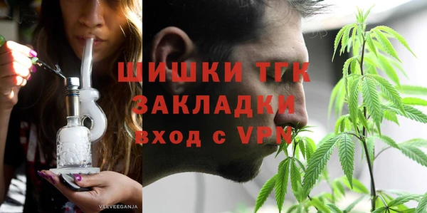 индика Горняк